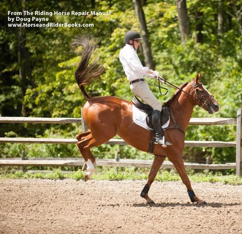 Prevent-a-Buck: Two Rules to Live (and Stay in the Saddle) By – TRAFALGAR SQUARE BOOKS BLOG Mini Horses, Riding Tips, Equestrian Helmets, Horse Heads, Saddle Horse, Horse Info, Equestrian Helmet, Horse Training Tips, Horse Things