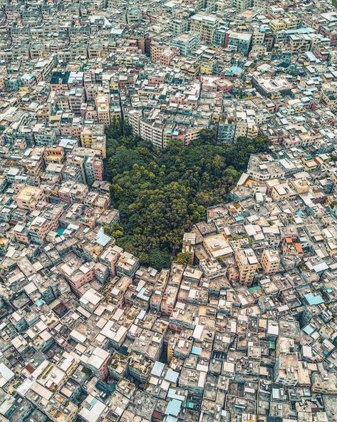 Trees sorrounded by densely packed buildings in Guangzhou, China : UrbanHell Chloe Campaign, Urban Graphic Design, Forest Island, Hsc Art, Greenery Art, Travel To China, Urban Sprawl, China Photo, Natural Form Art