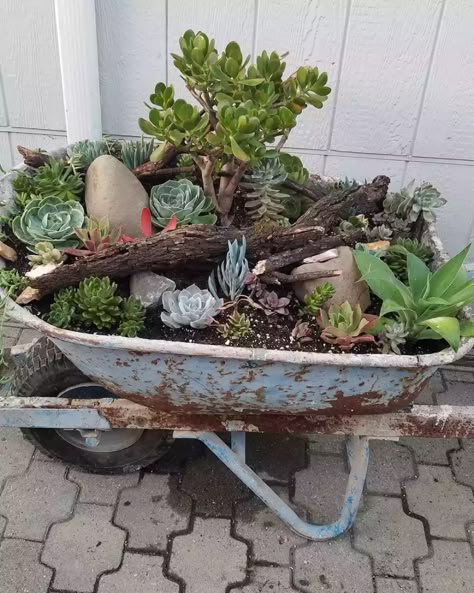 Wheel Barrow Planters Diy, Wheelbarrow Planter Ideas, Wheelbarrow Planter, Backyard Ideas On A Budget, Wheelbarrow Garden, Wheel Barrow, Garden Container, Wheelbarrows, Rustic Backyard