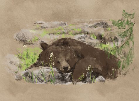 Bear Paintings, Sleeping Bear, Bear Drawing, Bear Illustration, Bear Art, Funky Art, Brown Bear, Pretty Art, Animal Drawings