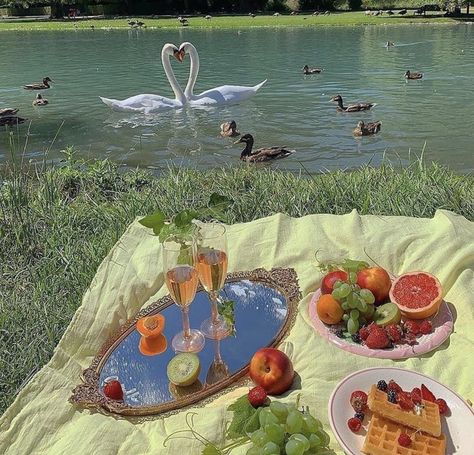 Cottagecore Picnic, Picnic Inspiration, Picnic Date, Picnic Food, A Picnic, Summer Picnic, Nature Aesthetic, Swans, Green Aesthetic