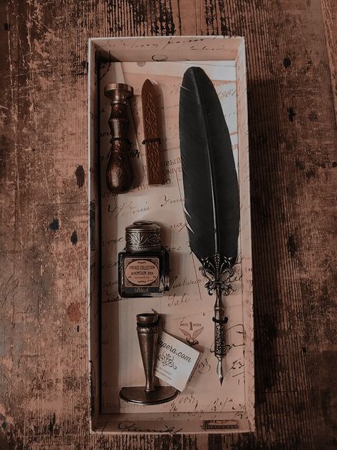 Harry Potter Quill, Hogwarts Life, Feather Quill Pen, Quill And Ink, Feather Quill, Feather Pen, Quill Pen, Hogwarts Aesthetic, Calligraphy Ink