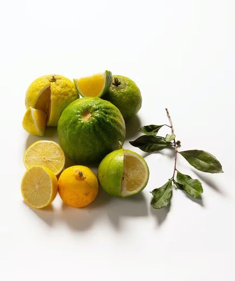 What bergamot is? Pear Varieties, Tea Perfume, Bergamot Tea, Sweet Lime, Instant Tea, Bergamot Orange, Bergamot Essential Oil, Herbal Infusion, Grey Tea