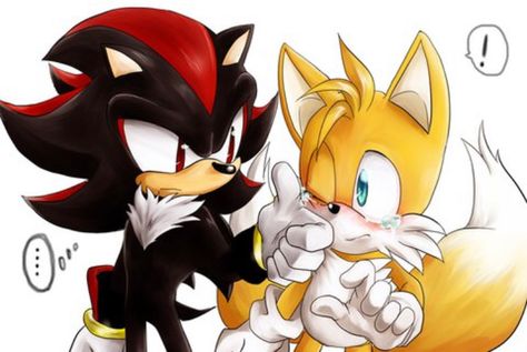 Sonic And Tails, Sonic The Movie, Shadow And Amy, Horror Sans, Hedgehog Movie, Rouge The Bat, Sonic And Amy, Sonic Funny, Blue Hedgehog