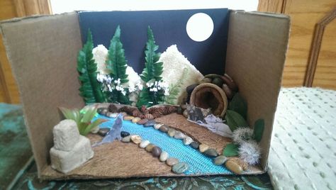 Wolf habitat for a first grade school project.  Abdallah good job Wolf Den, Zoo Project, Inquiry Based Learning, Science Projects For Kids, Grade School, Girls Club, Science Projects, Forest Animals, School Projects