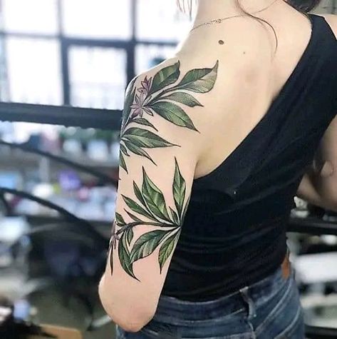 Spider Plant Tattoo, Plant Shoulder Tattoo, Tattoo Landscape, Neat Tattoos, Plant Tattoos, Botanical Tattoos, Candy Tattoo, Tattoo 2024, Green Tattoos