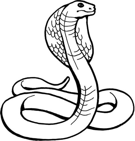 Amazing Animal King Cobra Coloring Pages : Kids Play Color Snake Head Tattoo, Snake Outline, Snake Images, Snake Coloring Pages, Cobra Art, Grunge Tattoo, Blackout Tattoo, Flag Coloring Pages, Snake Head