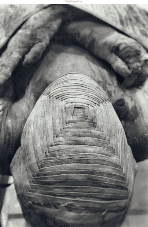 history-museum:  Mummy of a man. At the department of Egyptian Antiquities - The Louvre, Paris. [530x810] Egypt Mummy, Mummy Wrap, Egyptian Mummies, Art Ancien, Dragon Age Inquisition, Louvre Paris, Louvre Museum, After Life, The Louvre