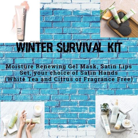 Winter Survival Kit, Winter Survival, Satin Hands, Lip Set, Gel Mask, Everything Pink, Survival Kit, White Tea, Mary Kay