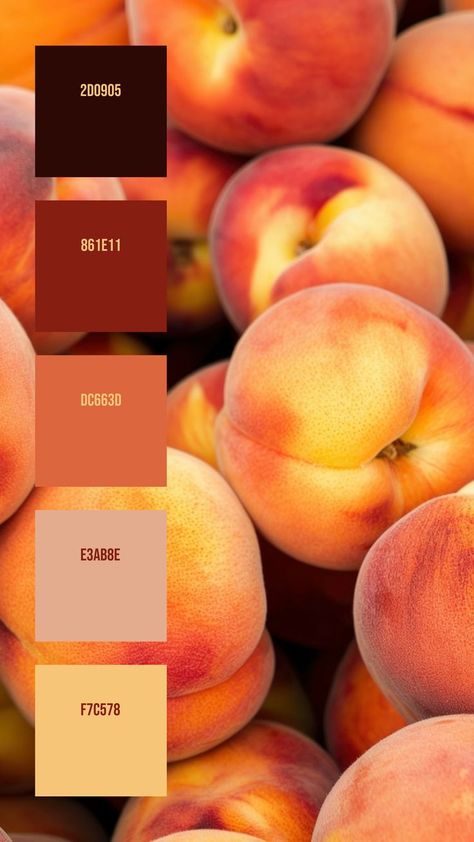 Colors:
2D0905
861E11
DC663D
E3AB8E
F7C578 Red And Orange Color Scheme, Soft Orange Color Palette, Red Orange Palette, Color Palette Orange, Peach Color Palette, Peach Color Palettes, Colour Mixing Wheel, Orange Color Palette, Orange Palette