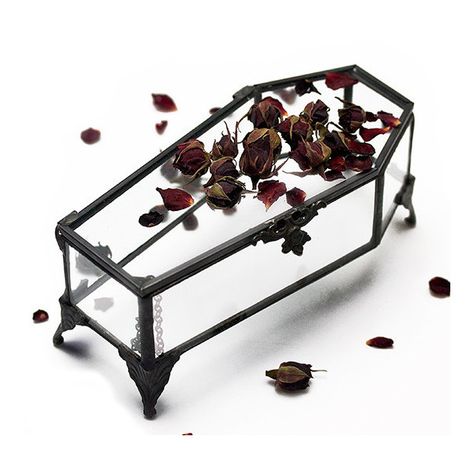 Dead Flowers, Jewelry Casket, Goth Home Decor, Goth Home, Goth Decor, Gothic Home, Jewelry Organizer Box, Gothic Decor, Gothic Home Decor