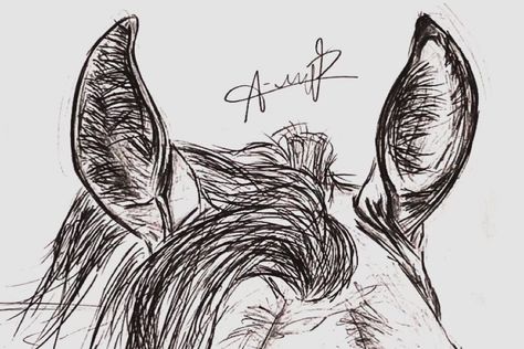 Drawing of a horse ear Horse Ears Drawing, Horse Ears Tattoo, Ear Drawing Reference, Drawing Of A Horse, Ears Drawing, Ear Drawing, Drawing Horses, How To Draw Ears, Drawing Study