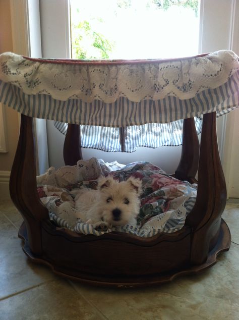 This is the canopy bed.  $17 end table from a thrift shop plus old linens.  The puppy is named Mia.  She's 2 months old. Dog Bed With Canopy, Bedside Pet Bed, Dog Bed With Canopy Diy, End Table Pet Bed, Dog Canopy Bed, Bed Stand Turned Into Dog Bed, Fancy Dog Beds, Dog House Bed, Cute Dog Beds