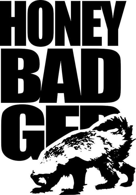 Honey Badger Wallpaper, Honey Badger Humor, Badger Wallpaper, Honey Badgers, Harpy Eagle, Harley Davidson Artwork, Training Quotes, Peregrine Falcon, Honey Badger