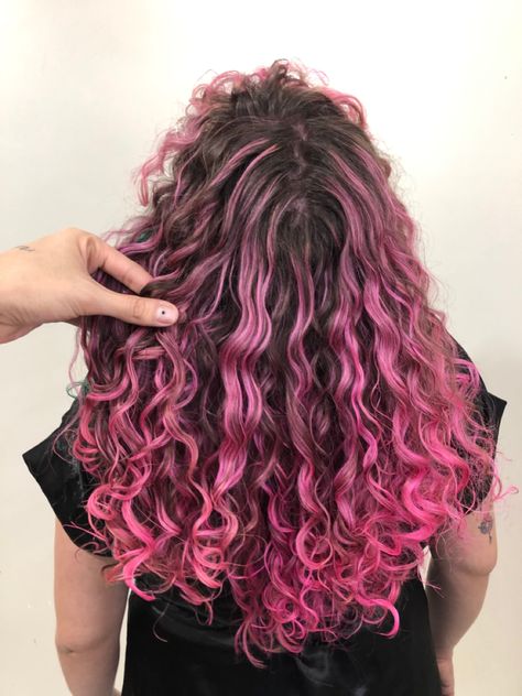 2c Colored Hair, Pink Ombre Curly Hair, Curly Draculaura Hair, Draculara Hair Curly Hair, Curly Purple Highlights, Pink Highlights In Brown Hair Curls, Pink Hair Streaks Curly, Pink And Black Curly Hair, Draculaura Hair Curly