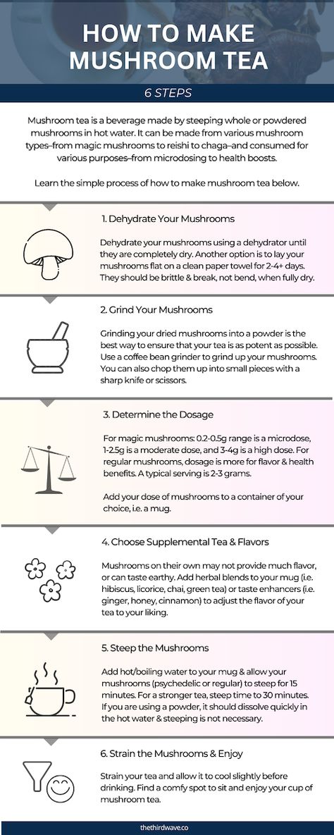 Reishi Mushroom Tea Benefits, Magic Mushroom Tea Recipe, Mushroom Tincture Recipes, Shroom Tea Recipe, Things To Do While Tripping On Mushrooms, Shroom Trip Activities, Psilocybin Benefits, Mushroom Microdosing, Magic Mushroom Recipe