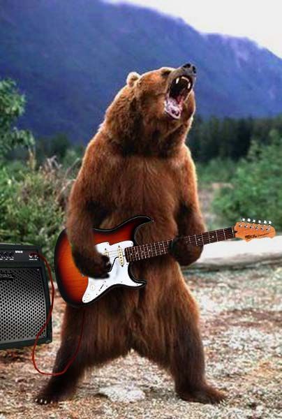 chuck beary Funny Bear Pictures, Dont Feed The Bears, Photo Hair, Pride Art, Funny Bears, Bear Photos, Perfectly Timed Photos, Animals Friendship, Bear Pictures