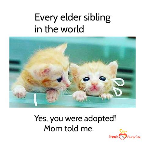 Sibling Relationships Funny, Elder Sibling, Siblings Funny Quotes, Sibling Memes, Funny Cartoon Memes, Siblings Funny, Sister Quotes Funny, Funny Baby Quotes, Funny Girly Quote