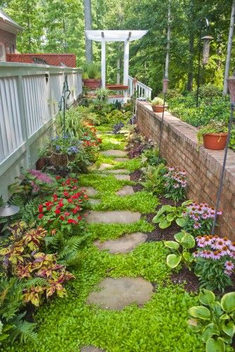 Side Yard Landscaping, Garden Stepping Stones, Real Estat, Side Garden, Garden Pathway, Side Yard, Plants And Flowers, Garden Spaces, Front Garden