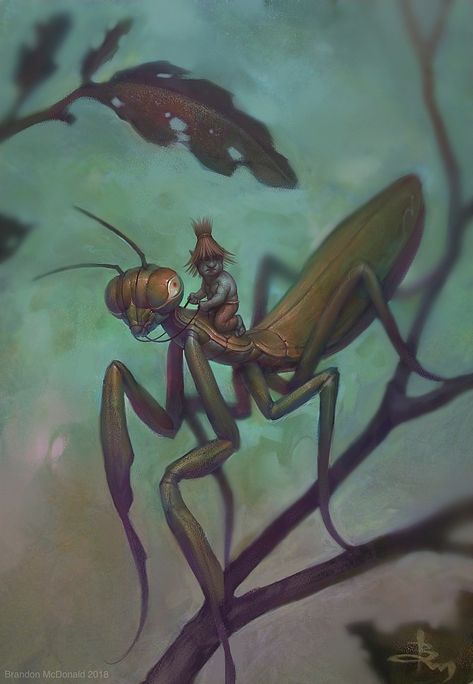 Hard Images, Praying Mantis, Insect Art, Fairy Art, Tattoo Inspo, Fantasy Creatures, Character Concept, Painting Ideas, Aesthetic Anime