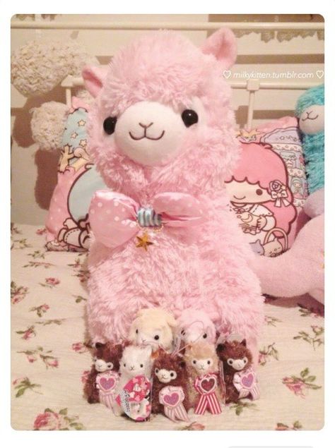 Cute alpacasso Llama Plushies, Alpaca Plushie, Dolly House, Cute Llama, Llama Alpaca, Cute Sheep, Kawaii Plush, Kawaii Plushies, Pastel Pink Aesthetic