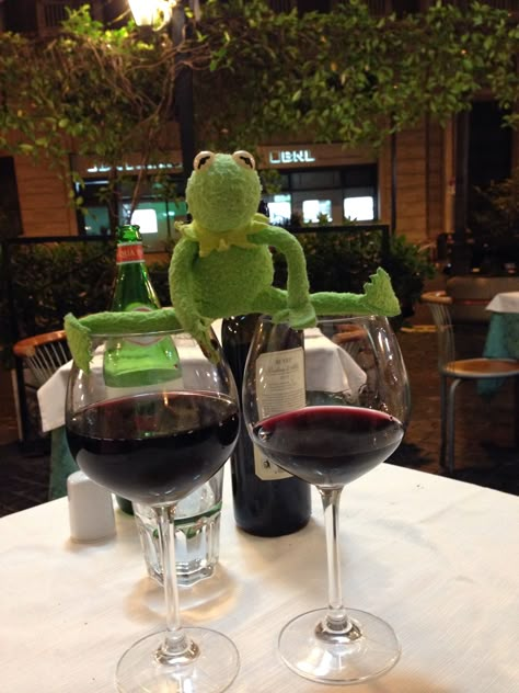 Kermit enjoying his wine a bit too much perhaps... #adventuresofkermit in Rome Kermit Mood, Funny Kermit Memes, Sapo Kermit, Kermit Meme, Kermit Memes, Kermit Funny, Frog Meme, The Muppet Show, Miss Piggy