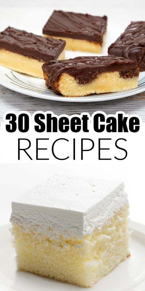 A group of delicious sheet cake recipes. From classic yellow cake to Texas sheet cake, and so many more sheet cake recipes. Summer Day Sheet Cake, Alaskan Sheet Cake, Cake Squares Sheet, Wedding Sheet Cake Recipes, Mini Sheet Cakes Ideas, Delicious Sheet Cake Recipes, Churro Sheet Cake, Birthday Sheet Cake Ideas For Men, Half Sheet Cake Recipe Homemade