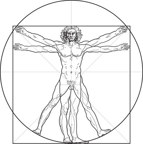 El Hombre de Vitruvio de Leonardo da Vinci: análisis y significado del canon de las proporciones humanas - Cultura Genial Leonardo Da Vinci Dibujos, Vitruvian Man Tattoo, The Vitruvian Man, Da Vinci Vitruvian Man, Vitruvian Man, Fine Line Tattoos, Line Tattoos, Chest Tattoo, Male Art