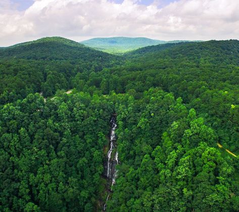 Wedding Packages | Amicalola Falls State Park & Lodge - Dawsonville, GA Amicola Falls, Georgia Mountain Wedding, Waterfalls In Georgia, Amicalola Falls, North Georgia Mountains, Georgia Mountains, Autumn Park, North Georgia, Adventure Activities