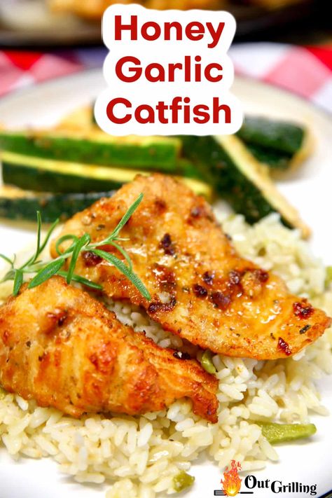 Honey Garlic Catfish has a sticky, sweet, garlicky glaze and can be grilled in about 15 minutes for a quick and easy dinner. Honey Garlic Fish, Catfish Recipes Grilled, California Fish Grill Copycat, Catfish And Shrimp Recipes, Easy Catfish Recipes, Grilled Catfish Recipes Foil, Broiled Catfish Recipes, Frozen Catfish Fillet Recipes, Sides For Grilled Fish