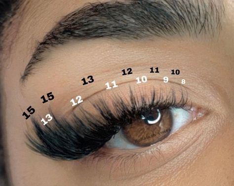 Lash Extensions Mapping Styles Hybrid, Hybrid Wispy Eyelash Extensions Cat Eye, Lash Extensions Wispy Cat Eye, Hybrid Lash Extensions Mapping, Hybrid Lash Mapping, Lash Sets Ideas, Cat Eye Lash Extensions Map, Wispy Lash Extensions Mapping, Hybrid Lash Extensions Map