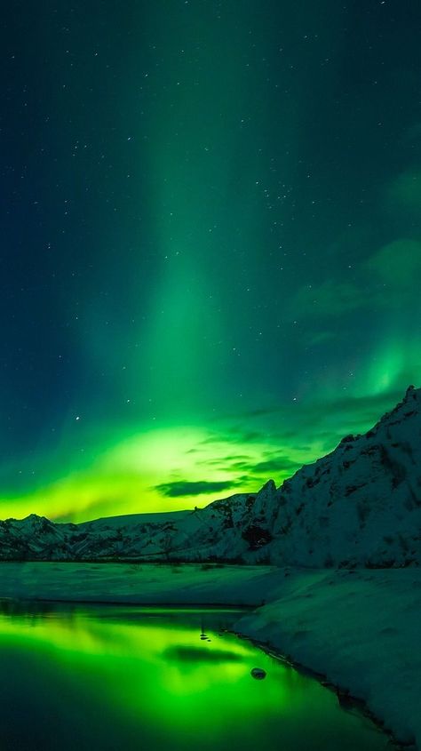 20 Photos that Prove Iceland is the land of Ice and Fire -  The Northern Lights in Iceland – By TPSDave [CC0 Public] via Pixabay More on DrifterPlanet.com Northern Lights Wallpaper, Northern Lights Photography, Aurora Lights, Northern Lights (aurora Borealis), Dark Green Aesthetic, Image Nature, See The Northern Lights, Lit Wallpaper, The Northern Lights