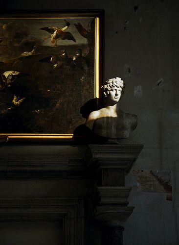 Classical bust, painting, dark interior متحف فني, Darkest Academia, Academia Style, Art Statue, Vaporwave Aesthetic, Style Dark, Dark Academia Aesthetic, Academia Aesthetic, The Secret History