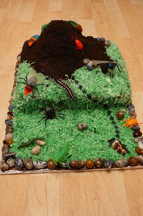 Ant Hill Cake, A Bugs Life Party, Bugs Life Party, Ant Cake, Insect Cake, 11th Birthday Cake, Pan Pasta, Bug Cake, Lincoln Birthday