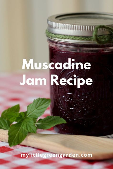 Muscadine Canning Recipes, How To Make Muscadine Jelly, Muscadine Jelly Recipe Small Batch, Muscadine Jam Recipe, Muscadines Recipe, Muscadine Wine Recipes Homemade, Muscadine Preserves Recipe, Muscidime Jelly, Muscadine Jelly Recipe Without Pectin