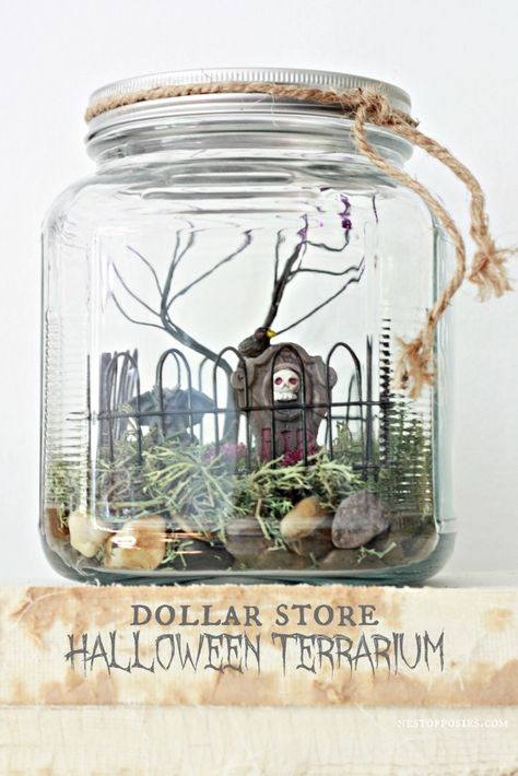 Dollar Store Halloween Terrarium Halloween Terrarium, Fairy Life, Diy Halloween Party, Halloween Fairy Garden, Halloween School Treats, Halloween Party Decor Diy, Dollar Store Halloween, Halloween Fairy, Diy Halloween Costumes For Kids