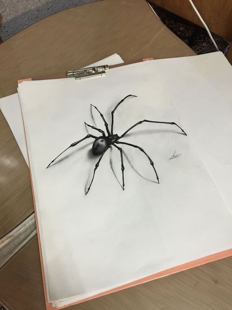 Big Spider Drawing, Spider Pencil Drawing, Spider Pen Drawing, Spider Halloween Drawing, 3d Spider Drawing, Spider Coming Out Of Eye Drawing, Spiderweb Drawing Realistic, Spiders Painting, Realistic Spider Drawing