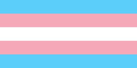 Bandera transgénero. Transmasc Tips, Lgbt Flags, Transgender Flag, Kelly Moore, Trans Pride Flag, Trans Boys, Trans Flag, Lgbt Flag, Trans Rights