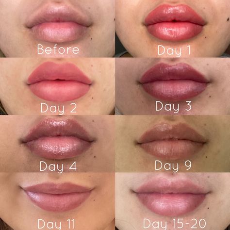 This is what you can expect from the Lip Blush healing proxess. Lip blush is meant to be a natural cosmetic tattoo look sns minixs the look of wearing lip balm or a lip stain. #liptattoo #pmu #lipcolor #liptattoo #tattoo #tattoosforwomen #beautyroutine #beautytrend #makeupaddict #lipsticktattoo #lipsticktips #makeupideas #makeuptransformation Lip Tattoo Cosmetic, Lip Tint Tattoo, Lip Blushing Tattoo Healing, Lip Blushing Tattoo Before And After, Tattoo Healing Process, Tattoo Artist Tips, Lipstick Tattoos, Healing Tattoo, Cosmetic Tattoo