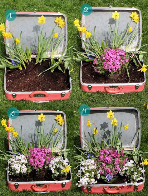 Suitcase Planter Ideas, Suitcase Garden, Repurpose Diy, Old Pots, Diy Rustic Home Decor, Marinated Pork Tenderloins, Diy Rustic Home, Easy Vegetarian Lunch, Upcycle Garden