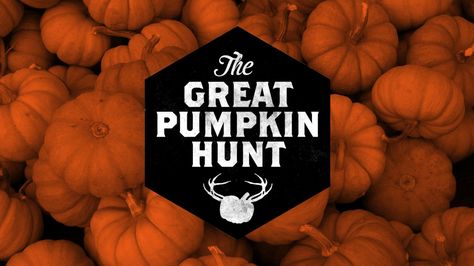 The Great Pumpkin Hunt If you’re looking for an amazingly fun event for your whole youth group, look no further than ��“The Great Pumpkin Hunt.” Imagine your youth running all over … Fall Youth Group Activities, Fall Youth Group Games, Halloween Youth Group, Halloween Youth Group Games, Christian Games For Youth, Pumpkin Hunt, Youth Group Events, Youth Ministry Lessons, Youth Group Lessons