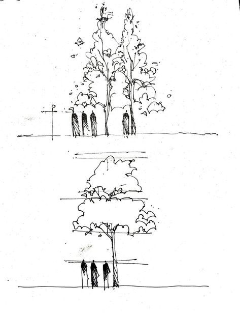 Basic tree and people in elevation Trees In Elevation Architecture, Architecture Section Sketch, Landscape Architecture Tree Sketch, Architectural Trees Plan And Elevation, Tree Elevation Architecture, Architecture Tree Sketch, Elevation Sketch Architecture, Tree Sketch Architecture, Human Entourage