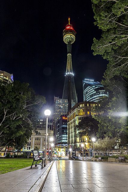 Sydney Tower Sydney Pictures, Sydney Night Aesthetic, Sydney At Night Aesthetic, Sydney Tower Eye, Sydney Tower, Sydney Trip, Chinatown Sydney, Australia Wallpaper, Sydney Travel