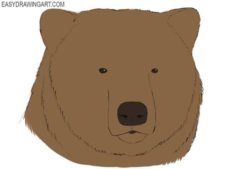 Draw A Bear, Bear Nose, Bear Paintings, Nose Drawing, Drawing Heads, Bear Head, Easy Drawing, Grizzly Bear, The Team