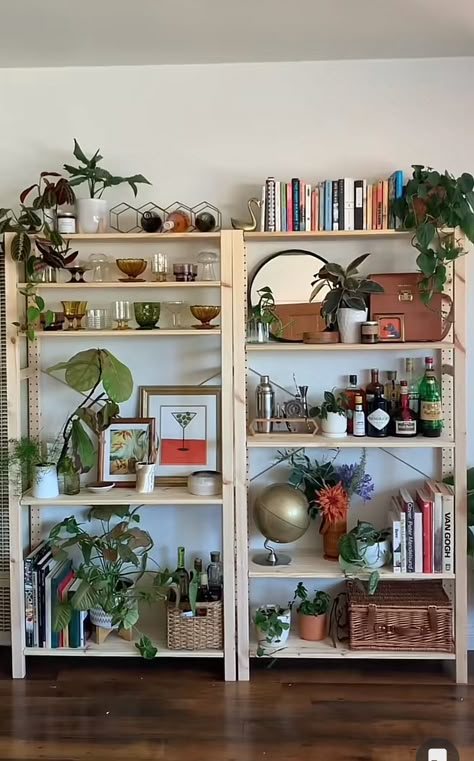 Maximalist Bookshelf Aesthetic, Aesthetic Plant Shelves, Bookshelf And Plants Aesthetic, Plant And Book Bedroom Aesthetic, House Plants Aesthetic Bohemian, Apartment Deco, Apartment Aesthetic, Decoration Inspiration, Apartment Decor Inspiration