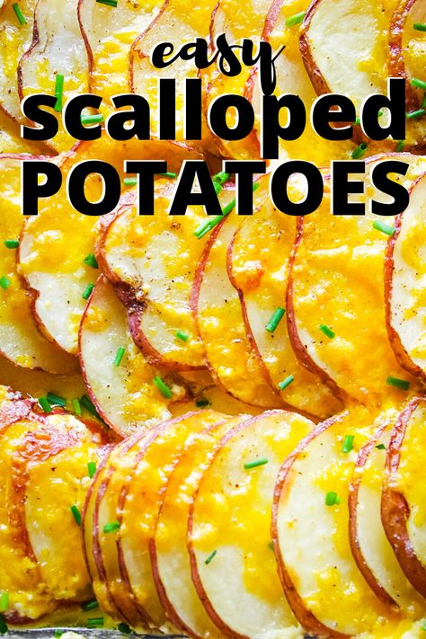 Cheese Red Potatoes, Red Potato Side Dish, Scalloped Red Potatoes Cheesy, Red Potatoes Side Dish, Potato Recipes Red Potatoes, Ideas For Red Potatoes, Sliced Red Potato Recipes, Red Skin Scalloped Potatoes, Scalloped Red Potatoes Easy