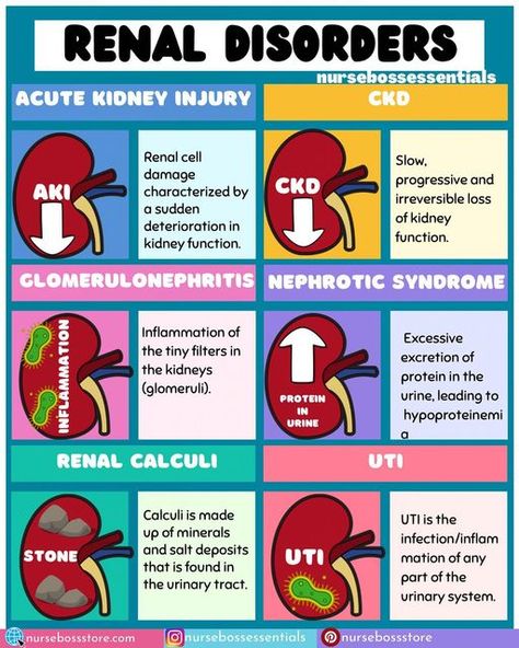 Pathophysiology Nursing, Nursing School Studying Cheat Sheets, Nursing School Essential, Nursing Study Guide, Nursing School Motivation, Medical School Life, Nursing Mnemonics, Nurse Study Notes, Nursing Student Tips