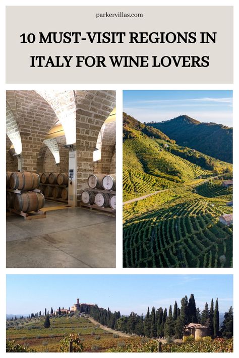 Savor the finest wines in Italy’s top tasting regions. Explore must-visit wineries in Italy for unforgettable tours and tastings. Plan your wine adventure now! Chianti Wine, Brunello Di Montalcino, Wine Tasting Experience, Italy Travel Tips, Montepulciano, Wine Tour, Wine Region, Umbria, Sardinia