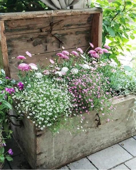 Pot Plant Garden, Garden Fairy Costume, Greens Garden, Dream Garden Backyards, Garden River, Front Lawn Landscaping, River Rock Garden, Rustic Pots, Lawn Landscape