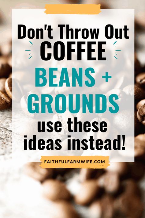 Do you have coffee beans that are too old to grind in your morning cup? Are you wondering if there is a way to reuse the coffee grounds that you typically toss in the trash? Checkout this list of 13 coffee bean uses for the home & farm + ways to reuse coffee grounds! #coffee #reuse #repurpose #coffeebeans #reusecoffee Coffee Bean Uses, Reuse Coffee Grounds, Zero Waste Ideas, Used Coffee Grounds, Coffee Scrub Diy, Modern Homestead, Ninja Coffee, Fresh Coffee Beans, Homesteading Ideas